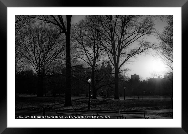 Central Park Sunset Noir I Framed Mounted Print by Marianne Campolongo