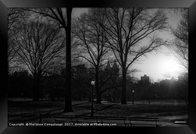 Central Park Sunset Noir I Framed Print by Marianne Campolongo