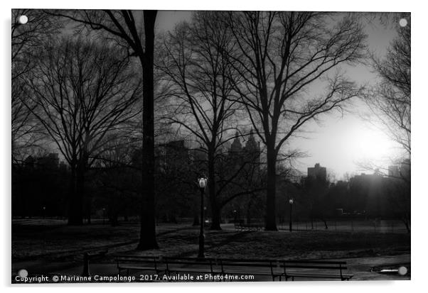 Central Park Sunset Noir I Acrylic by Marianne Campolongo