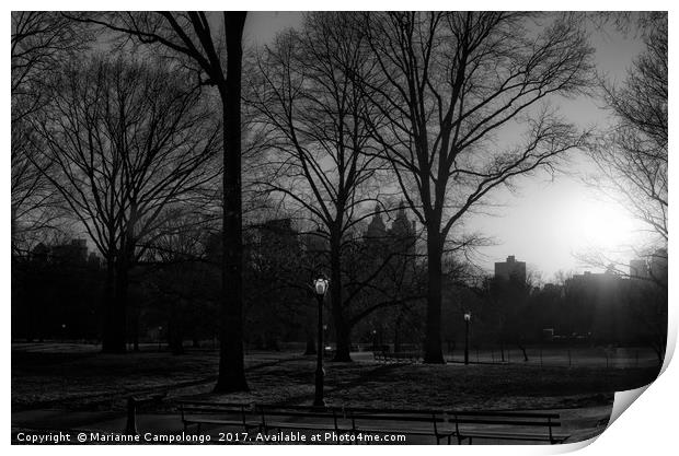 Central Park Sunset Noir I Print by Marianne Campolongo