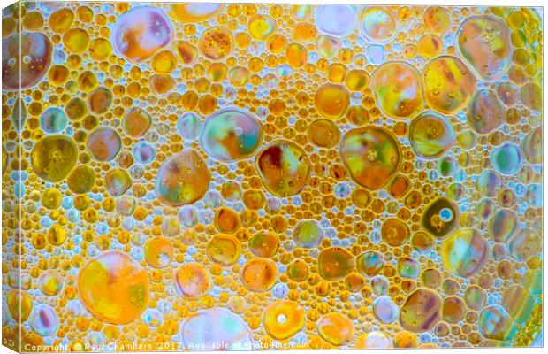 Bubbles Canvas Print by Paul Chambers
