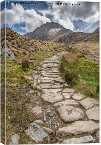 Footpath To Tryfan Mountain Wales Canvas Print by Adrian Evans