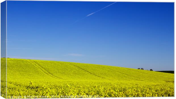 A Field of Rapeseed in Springtime Canvas Print by Michael Harper