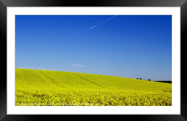 A Field of Rapeseed in Springtime Framed Mounted Print by Michael Harper