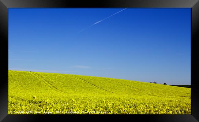 A Field of Rapeseed in Springtime Framed Print by Michael Harper