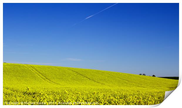 A Field of Rapeseed in Springtime Print by Michael Harper