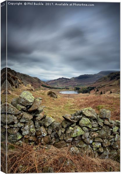 Side Pike to Blea Tarn Canvas Print by Phil Buckle