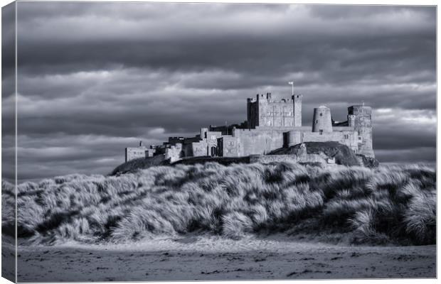 Priceless Bamburgh Castle Canvas Print by Naylor's Photography