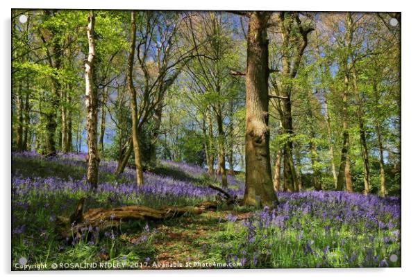 "The Magic of the Bluebell Woods" Acrylic by ROS RIDLEY