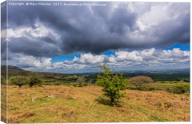 View to Dartmoor Canvas Print by Mary Fletcher