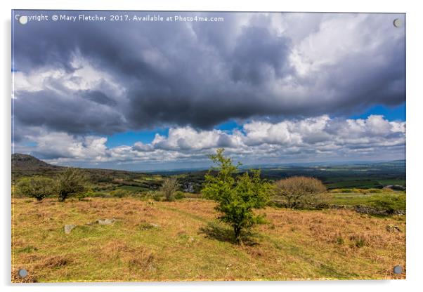 View to Dartmoor Acrylic by Mary Fletcher