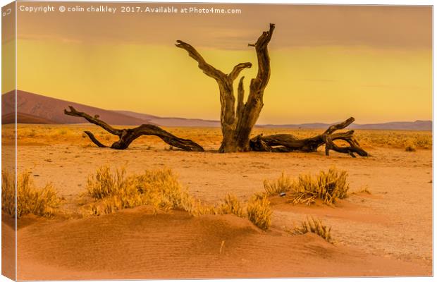 Sossusvlie at Dawn, Namibia Canvas Print by colin chalkley