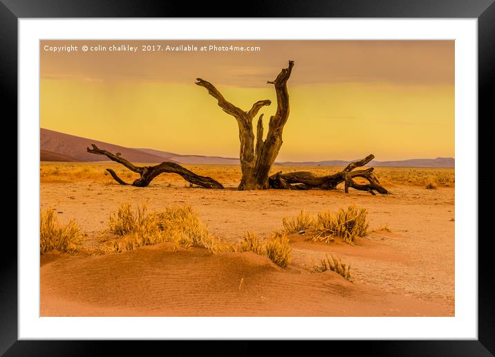 Sossusvlie at Dawn, Namibia Framed Mounted Print by colin chalkley