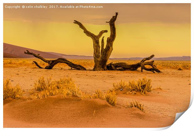 Sossusvlie at Dawn, Namibia Print by colin chalkley