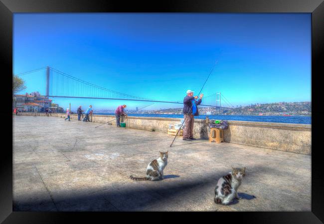 Fishermen And Cats Istanbul Framed Print by David Pyatt