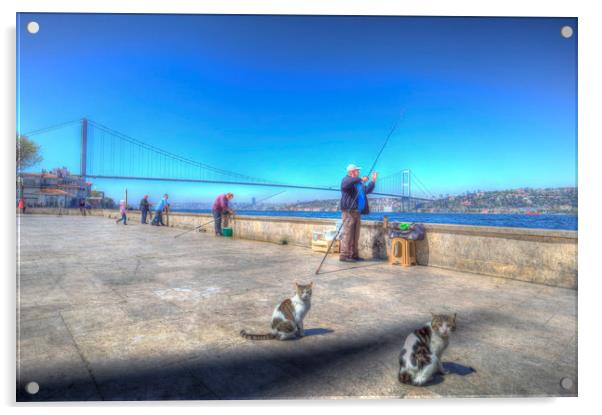 Fishermen And Cats Istanbul Acrylic by David Pyatt