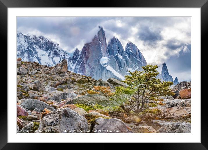 Laguna Torre El Chalten Argentina Framed Mounted Print by Daniel Ferreira-Leite