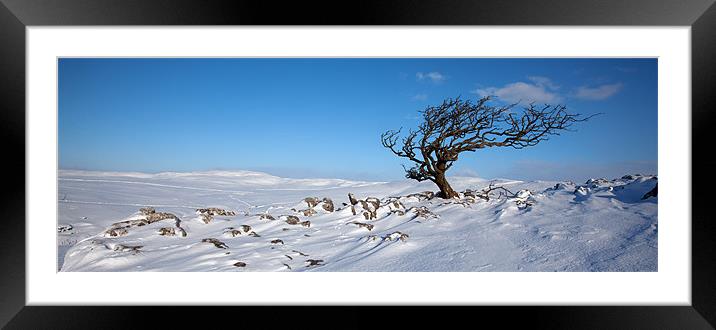 A Yorkshire Winter Wilderness Framed Mounted Print by Steve Glover