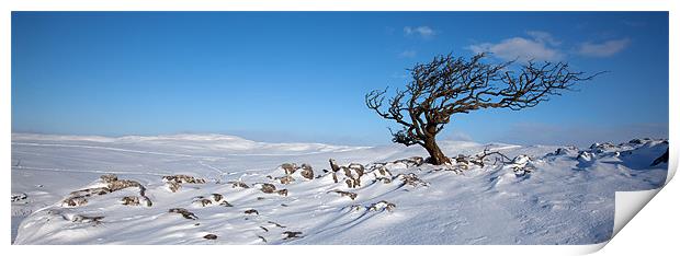 A Yorkshire Winter Wilderness Print by Steve Glover