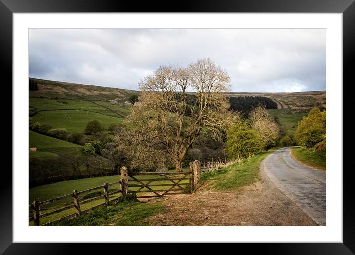 Majestic Nidderdale Scenery Framed Mounted Print by P D