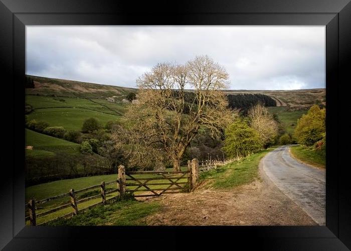 Majestic Nidderdale Scenery Framed Print by P D