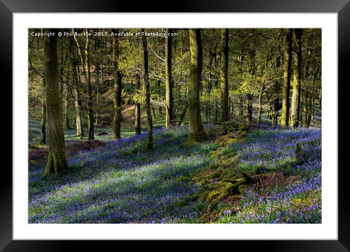 Tumbledown Wall Fishgarths Wood Framed Mounted Print by Phil Buckle