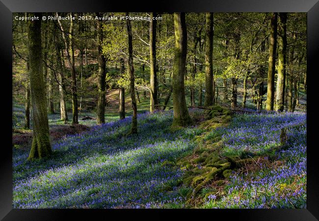 Tumbledown Wall Fishgarths Wood Framed Print by Phil Buckle