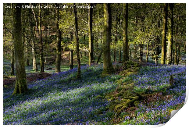 Tumbledown Wall Fishgarths Wood Print by Phil Buckle