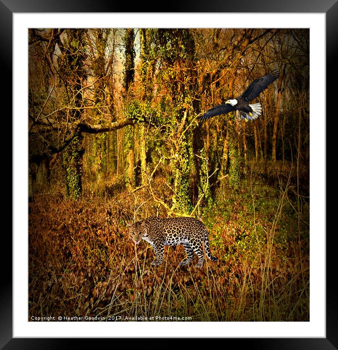 Jungle Call Framed Mounted Print by Heather Goodwin