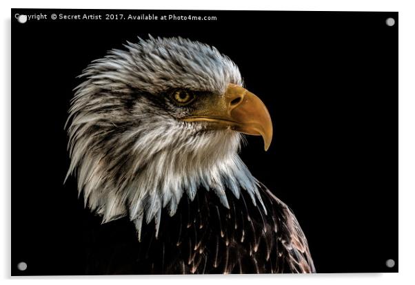 Golden Eagle Acrylic by Secret Artist