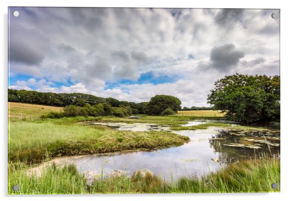 Causeway Lake Newtown Isle Of Wight Acrylic by Wight Landscapes
