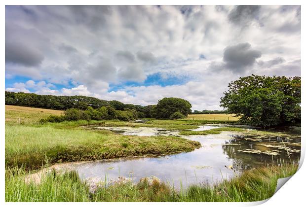 Causeway Lake Newtown Isle Of Wight Print by Wight Landscapes