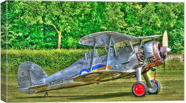 Gloster Gladiator 1938 Canvas Print by Chris Thaxter