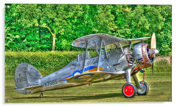 Gloster Gladiator 1938 Acrylic by Chris Thaxter