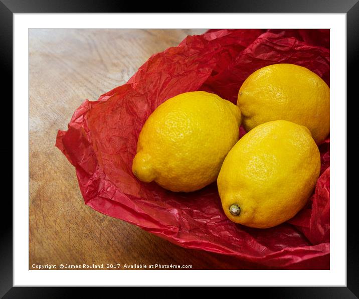Still Life with Lemons Framed Mounted Print by James Rowland