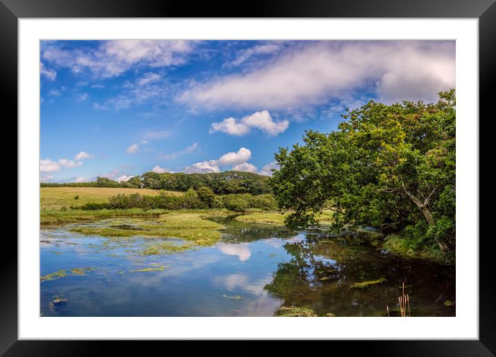 Causeway Lake Newtown Isle Of Wight Framed Mounted Print by Wight Landscapes