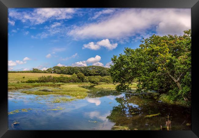Causeway Lake Newtown Isle Of Wight Framed Print by Wight Landscapes