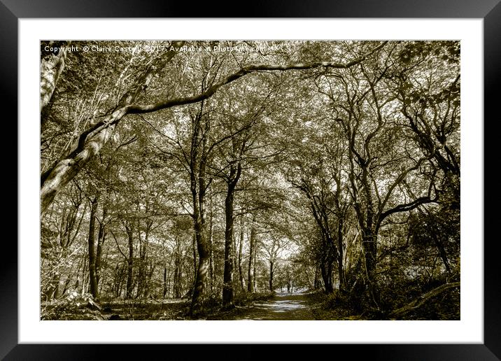 Wild woods Framed Mounted Print by Claire Castelli