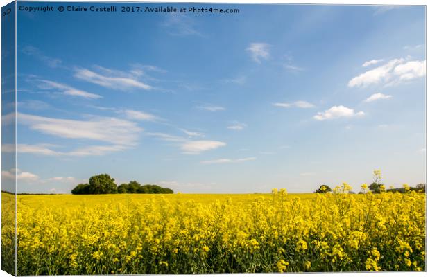 Fields of gold Canvas Print by Claire Castelli
