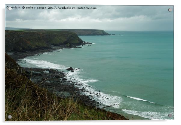 CORNISH VIEW Acrylic by andrew saxton