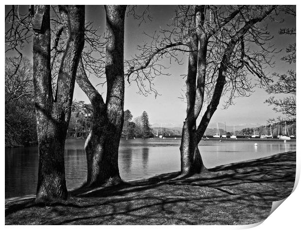 Lakeside Print by David McCulloch