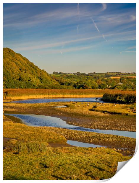 Newport Marshes, Pembrokeshire, Wales, UK Print by Mark Llewellyn
