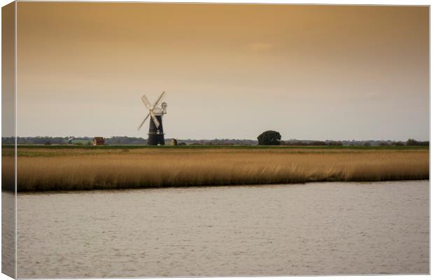 Berney Arms windmill on the Norfolk Broads Canvas Print by Mark Hawkes