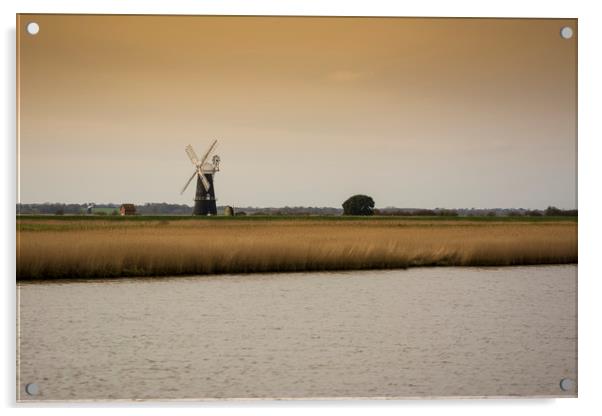 Berney Arms windmill on the Norfolk Broads Acrylic by Mark Hawkes