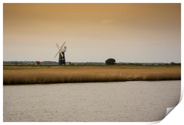 Berney Arms windmill on the Norfolk Broads Print by Mark Hawkes