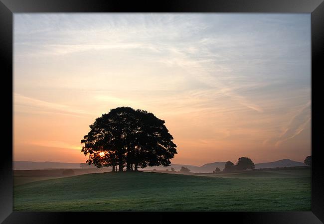 Warmer Days Framed Print by Steve Glover