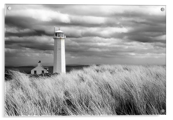 Walney Island Lighthouse Acrylic by Steve Glover