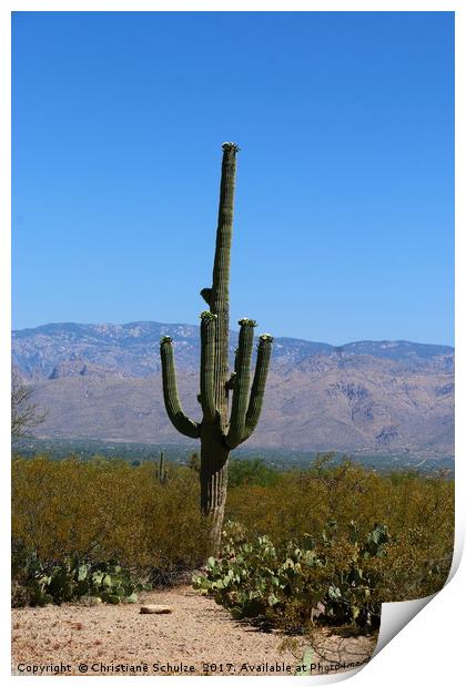 A Giant Saguaro Cactus  Print by Christiane Schulze