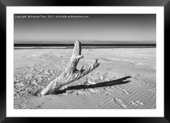 Lonely Tree on Friendly Beach, Tasmania Framed Mounted Print by Pauline Tims