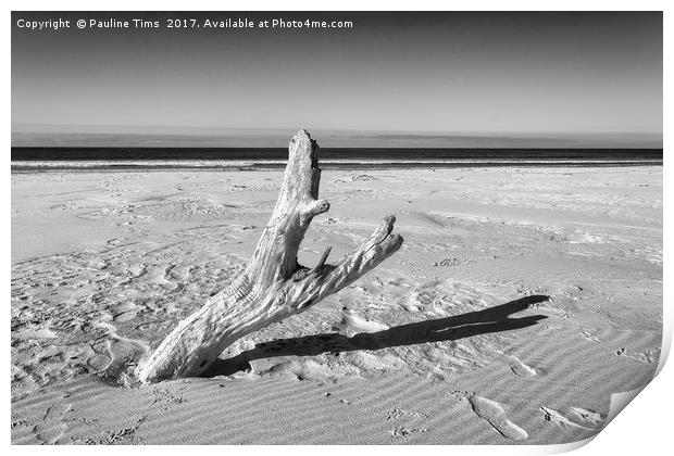 Lonely Tree on Friendly Beach, Tasmania Print by Pauline Tims